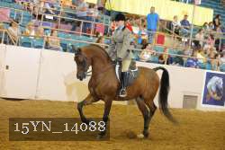 15YN_14088 proof