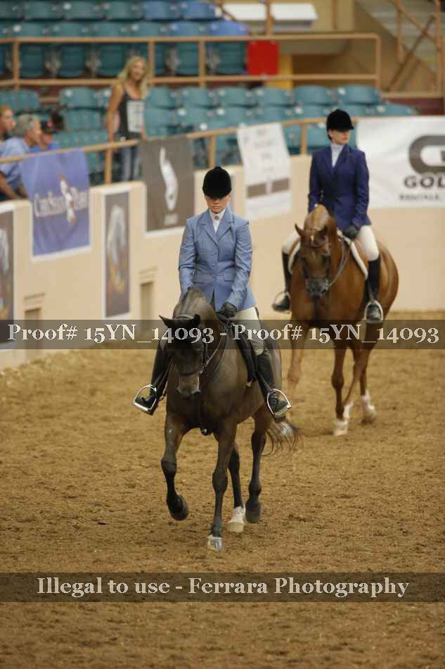 Proof 15YN_14093