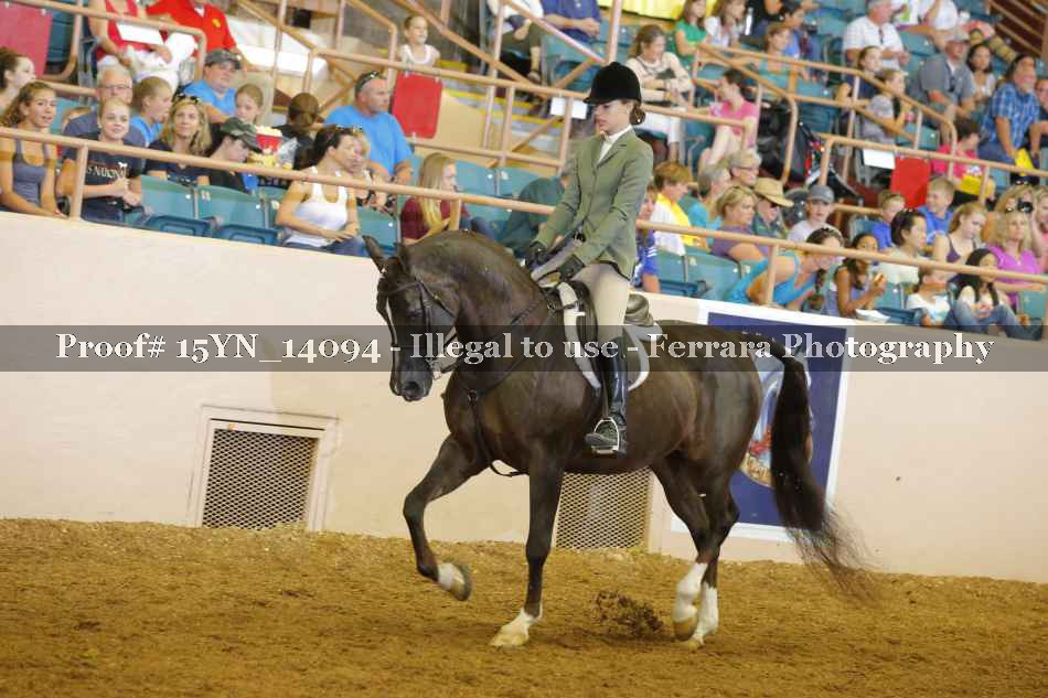 Proof 15YN_14094