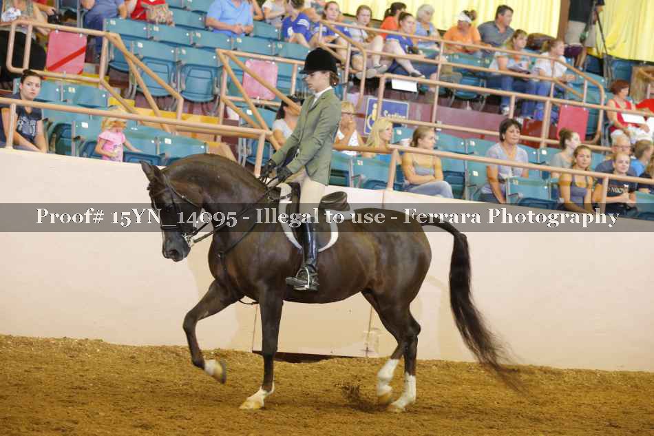 Proof 15YN_14095