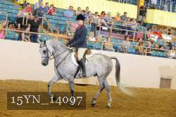 15YN_14097 proof