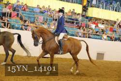 15YN_14101 proof