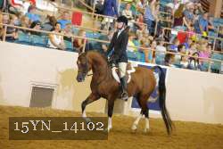 15YN_14102 proof