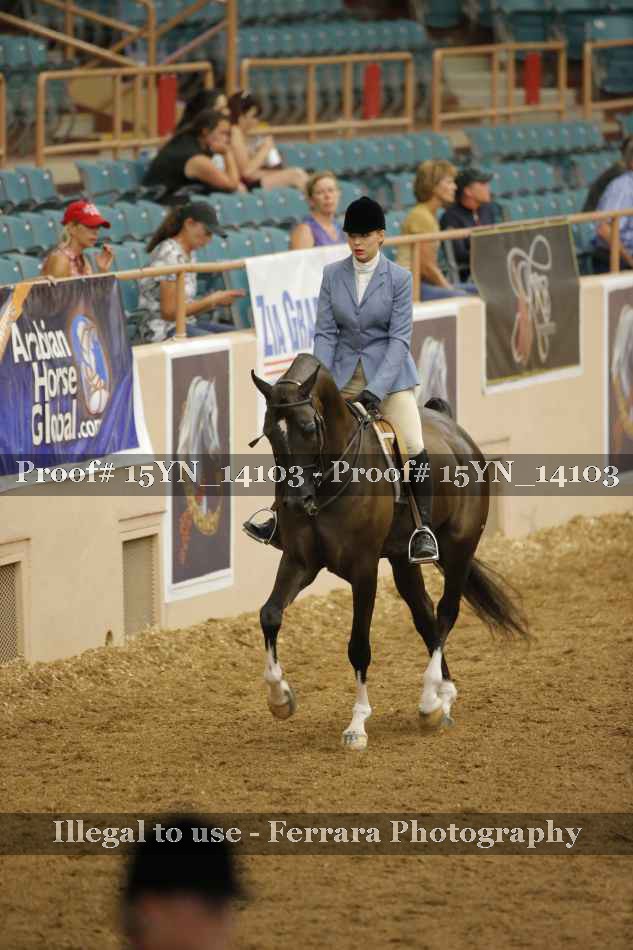 Proof 15YN_14103