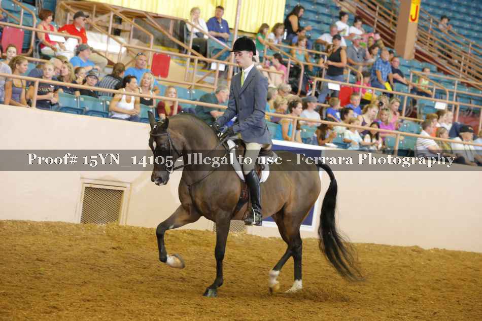 Proof 15YN_14105