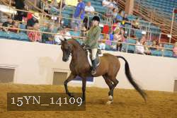 15YN_14109 proof