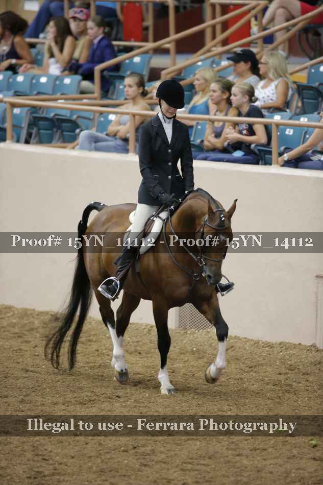 Proof 15YN_14112