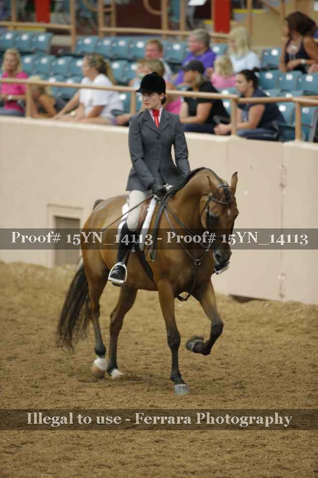 Proof 15YN_14113