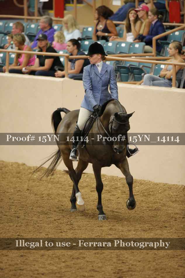 Proof 15YN_14114