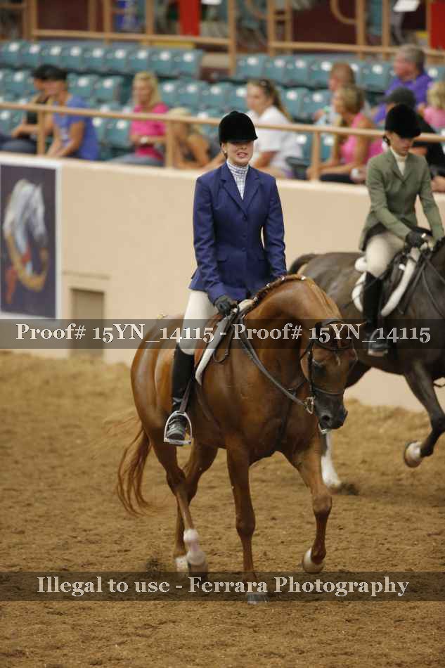 Proof 15YN_14115