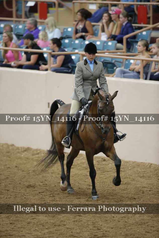 Proof 15YN_14116