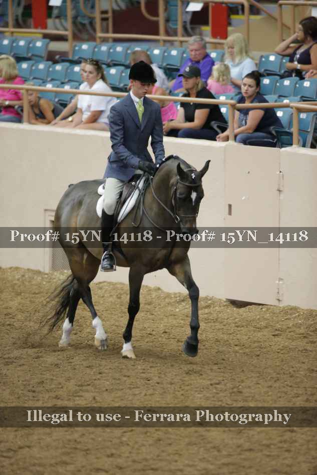 Proof 15YN_14118