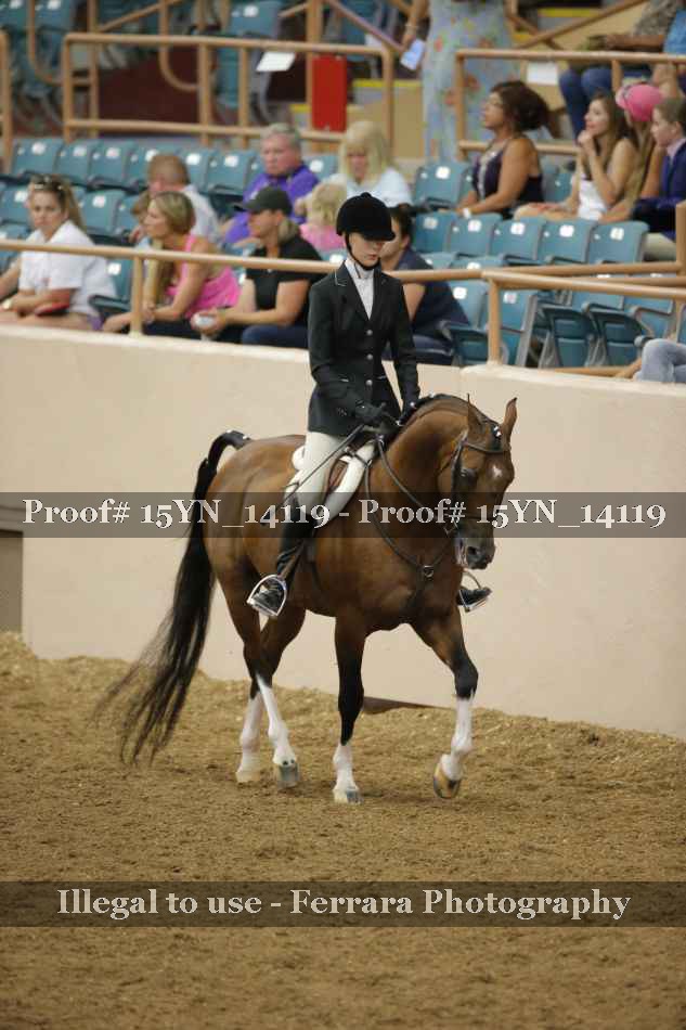 Proof 15YN_14119