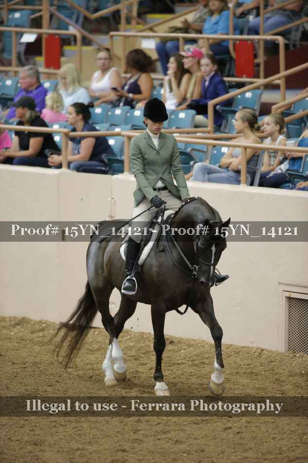 Proof 15YN_14121