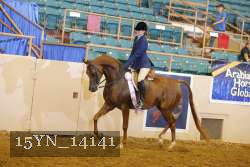 15YN_14141 proof