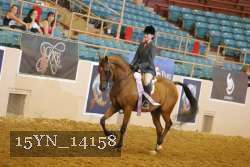15YN_14158 proof
