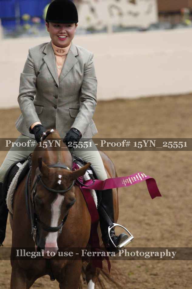 Proof 15YN_25551
