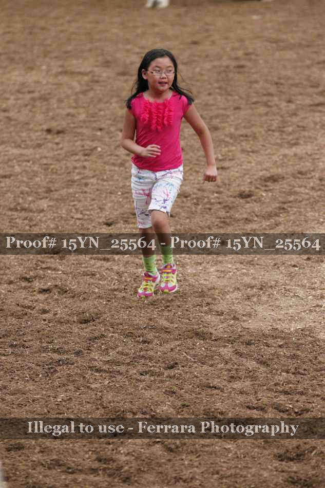 Proof 15YN_25564