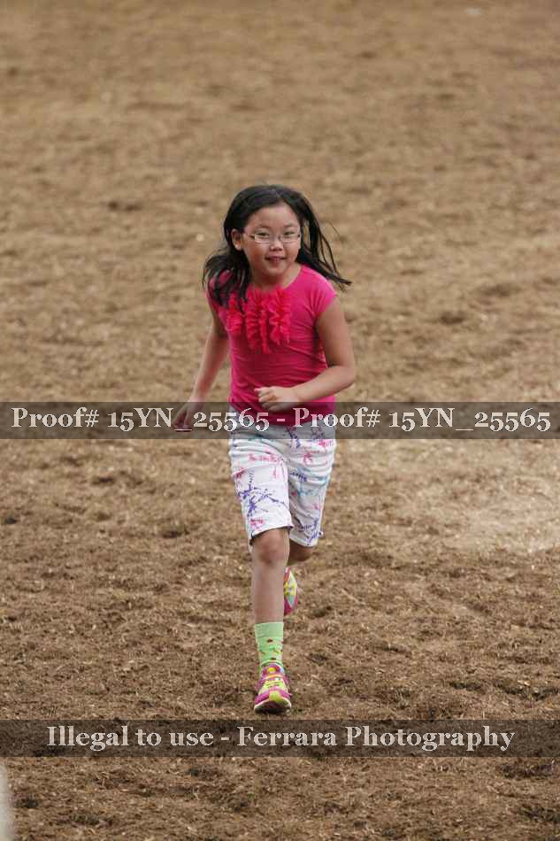 Proof 15YN_25565