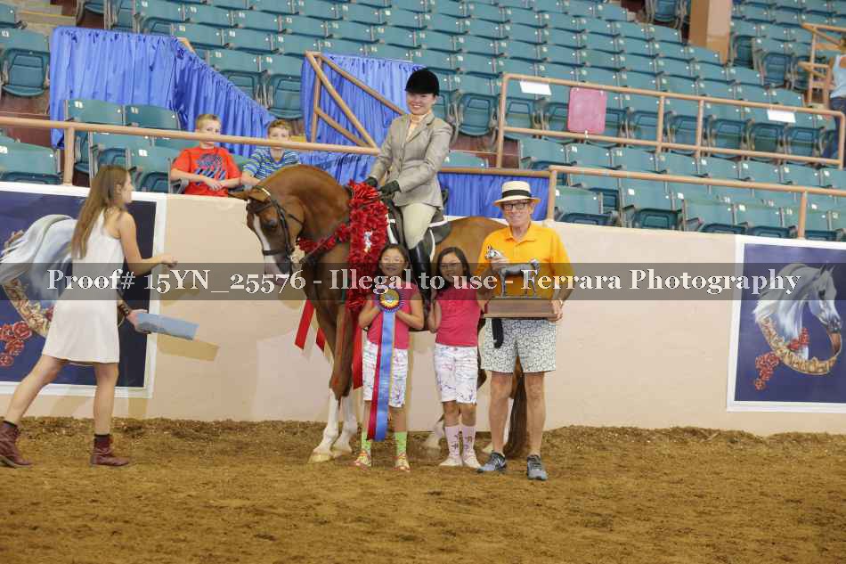 Proof 15YN_25576