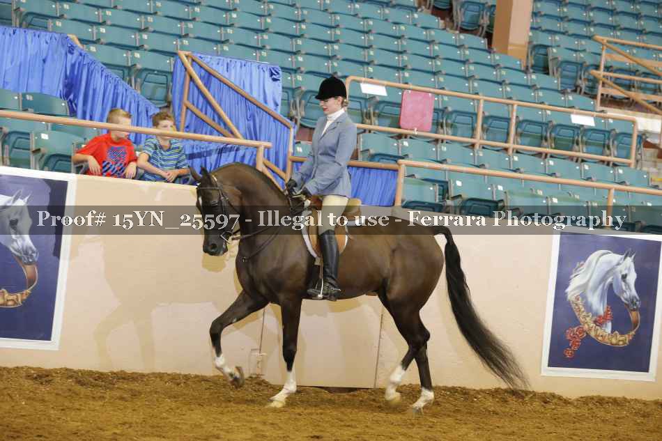 Proof 15YN_25597
