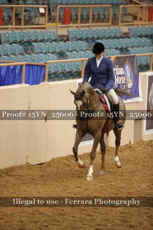 Proof 15YN_25606
