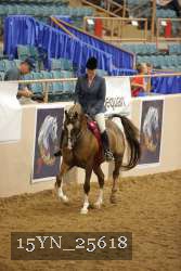 15YN_25618 proof