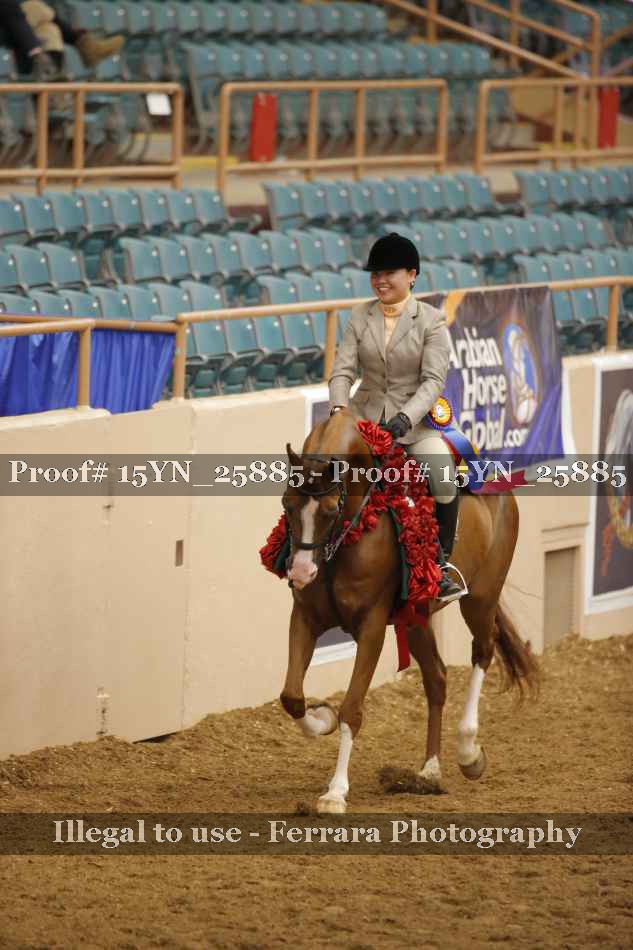 Proof 15YN_25885