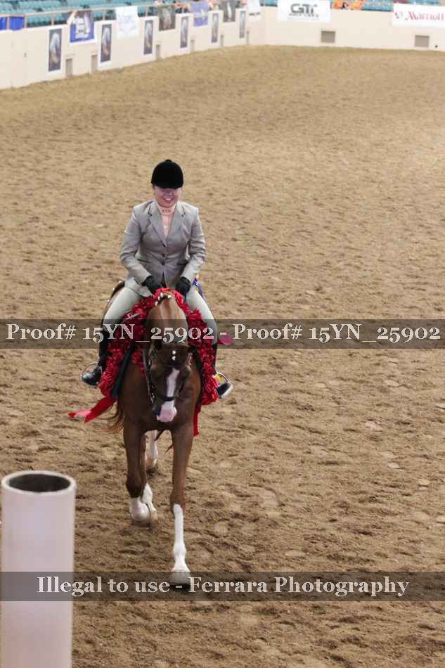 Proof 15YN_25902