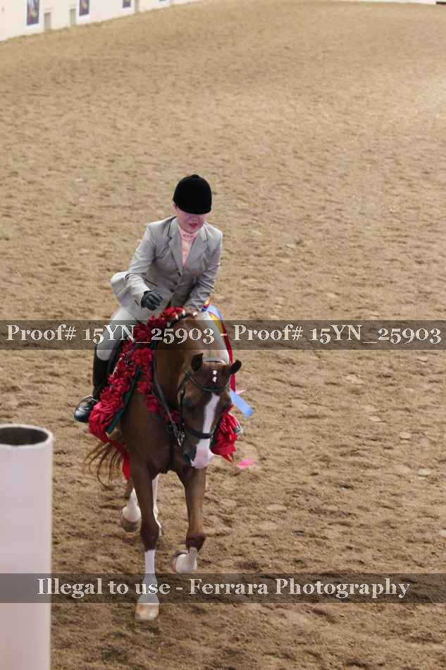 Proof 15YN_25903