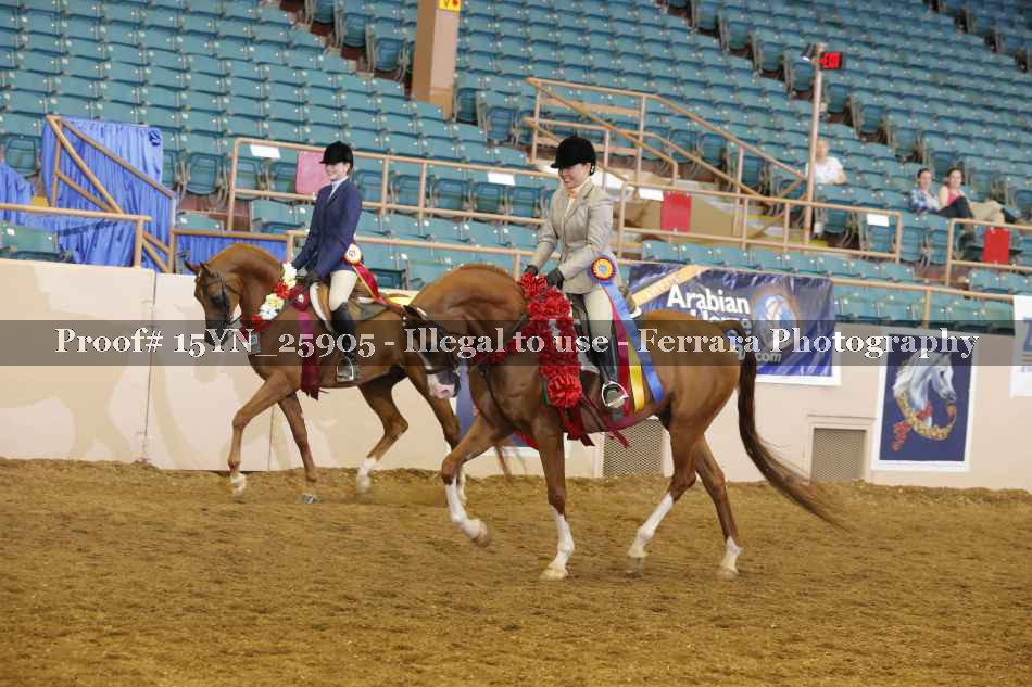 Proof 15YN_25905