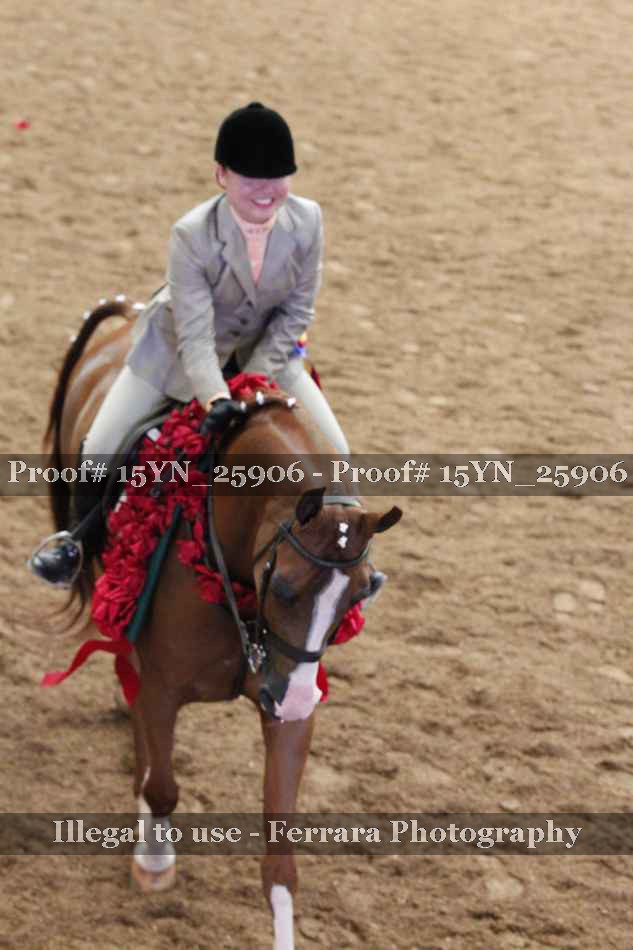 Proof 15YN_25906