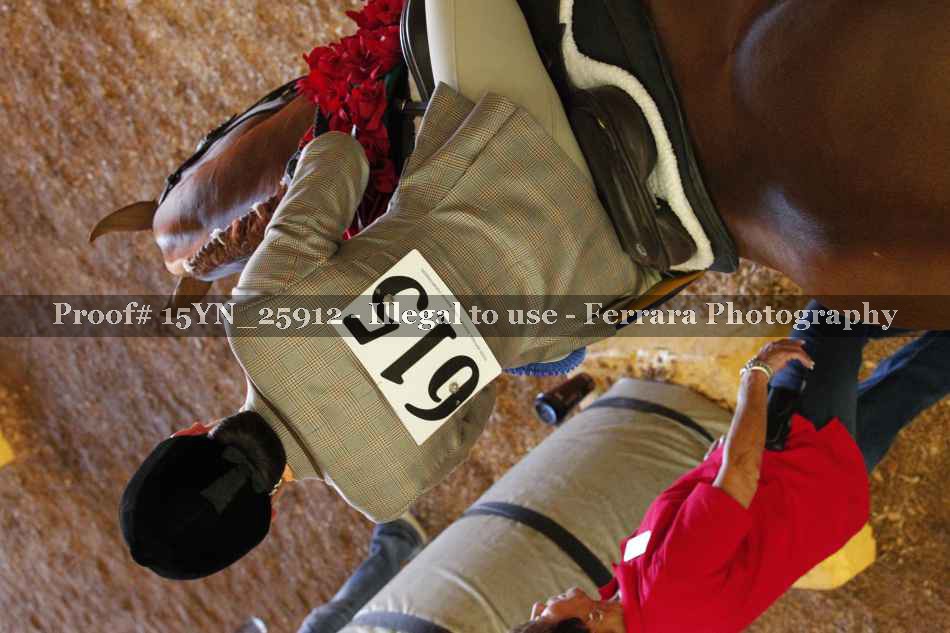 Proof 15YN_25912