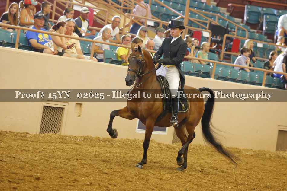 Proof 15YN_02625