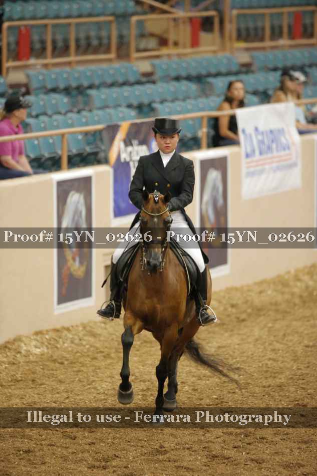 Proof 15YN_02626