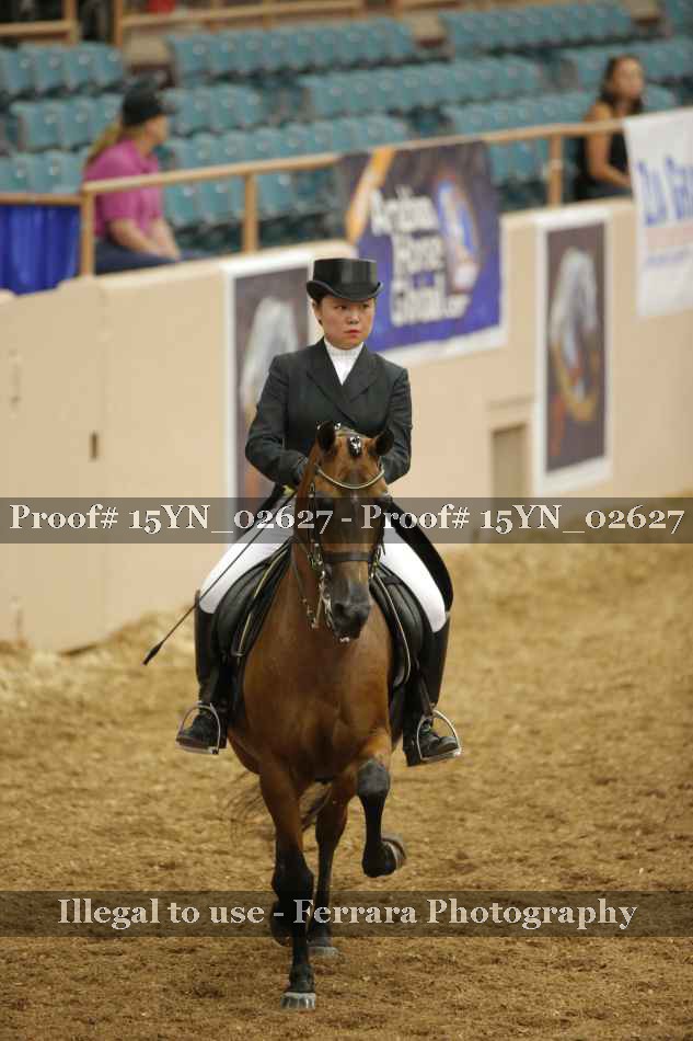 Proof 15YN_02627