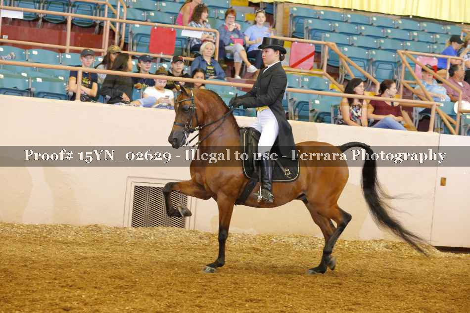 Proof 15YN_02629