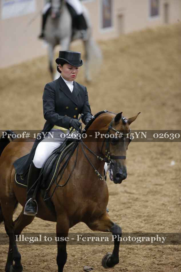 Proof 15YN_02630