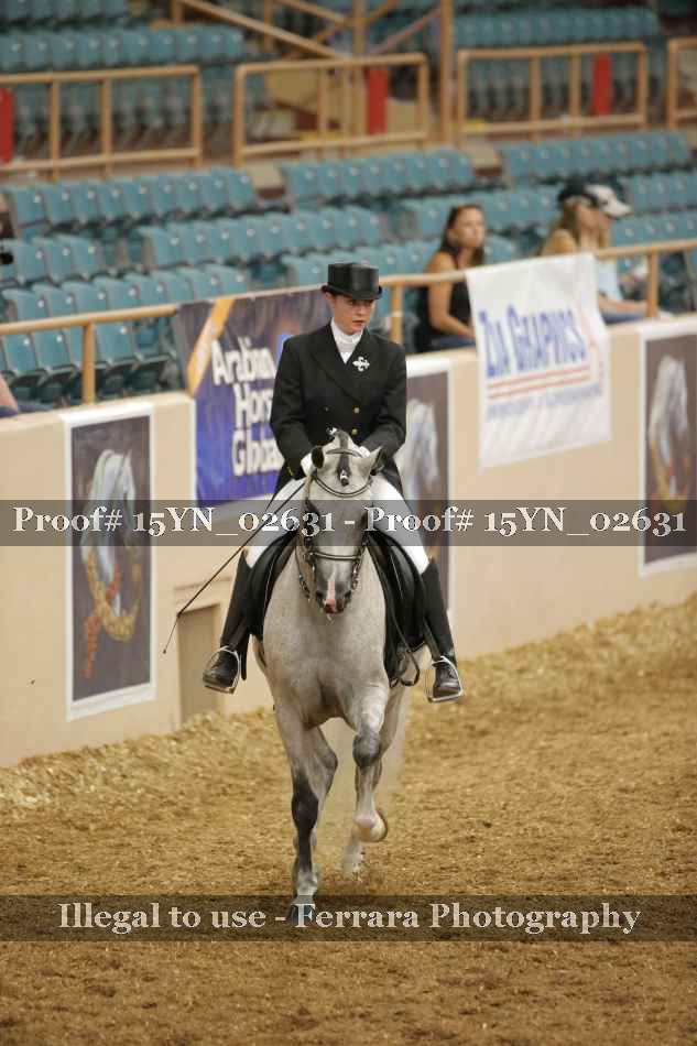 Proof 15YN_02631