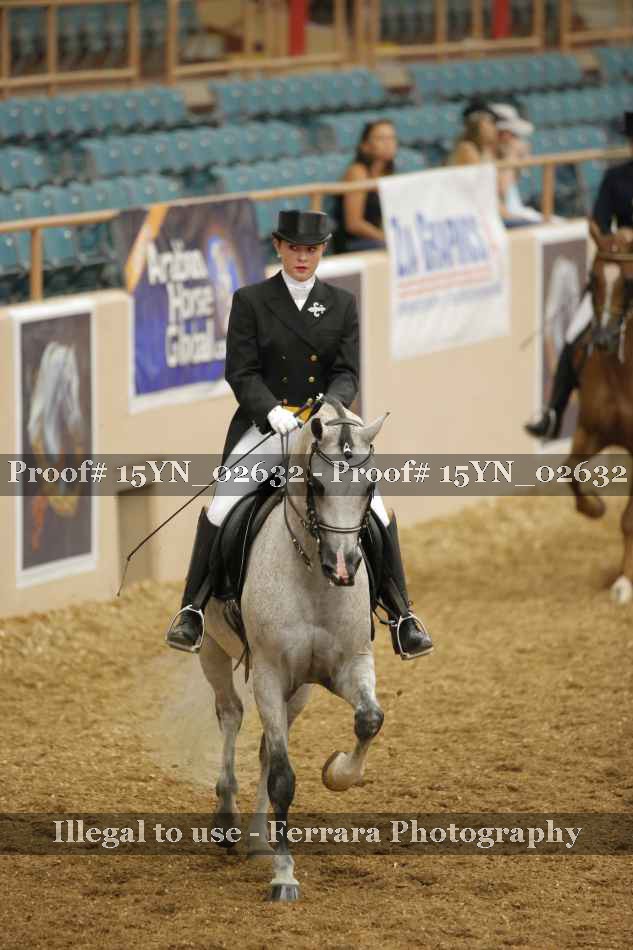 Proof 15YN_02632