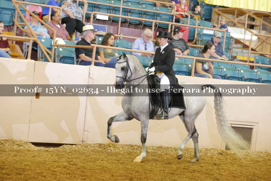Proof 15YN_02634