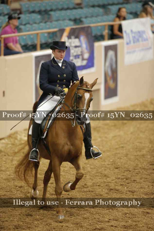 Proof 15YN_02635
