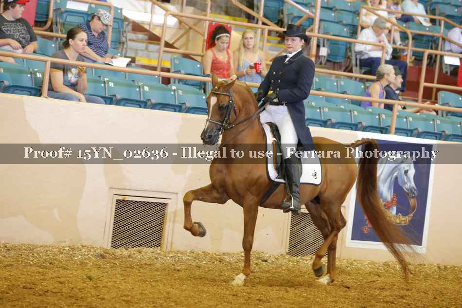 Proof 15YN_02636