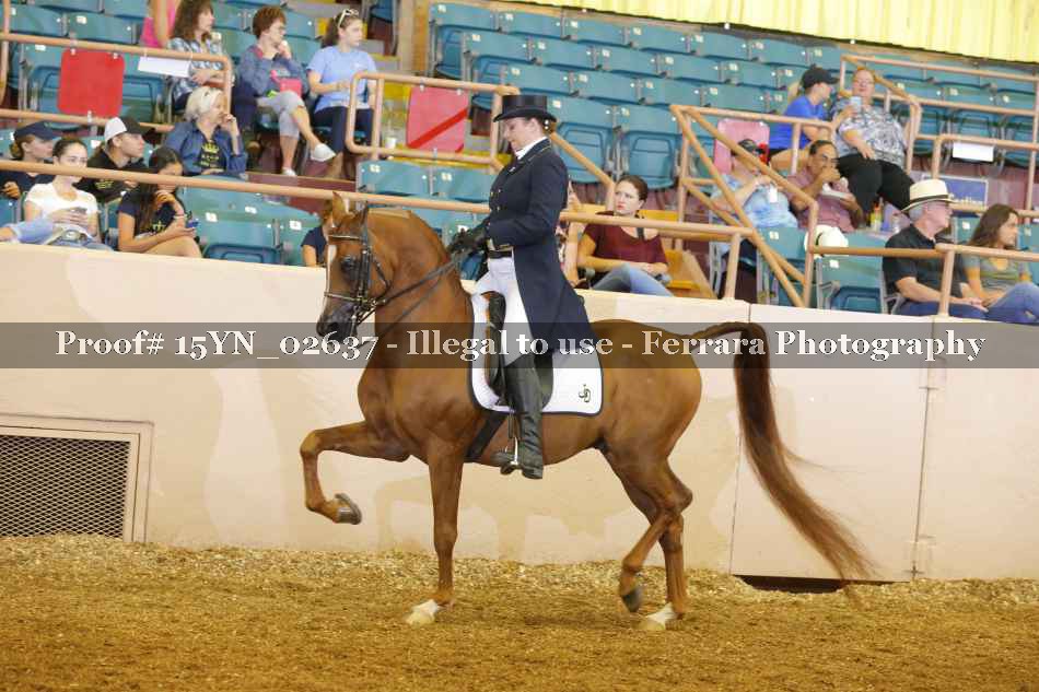 Proof 15YN_02637