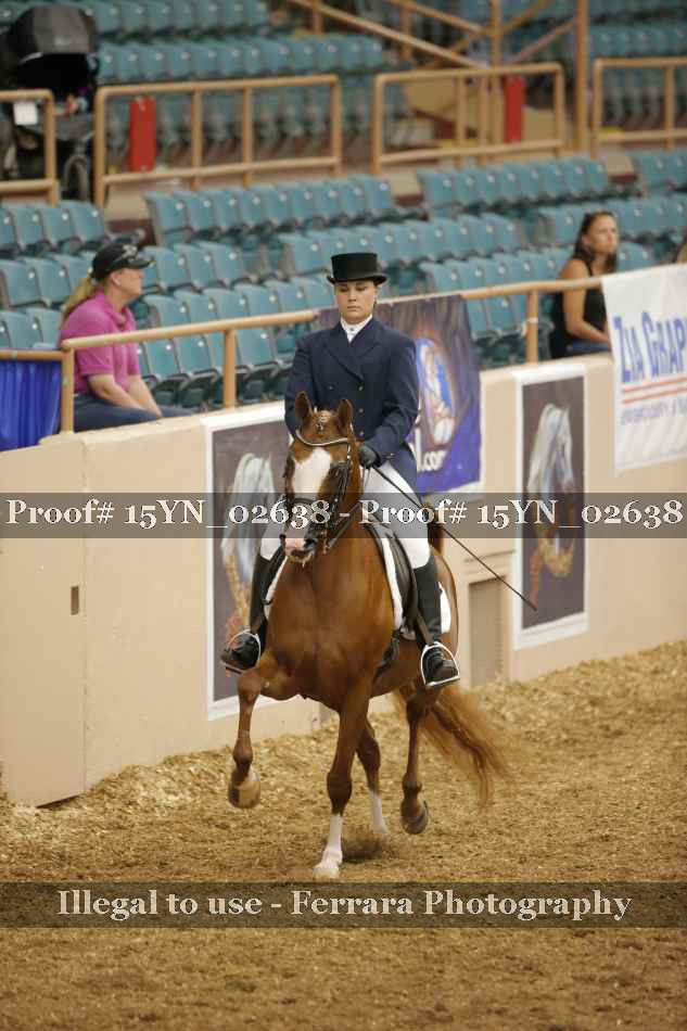 Proof 15YN_02638