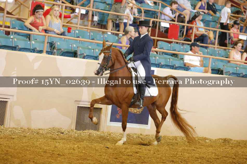 Proof 15YN_02639