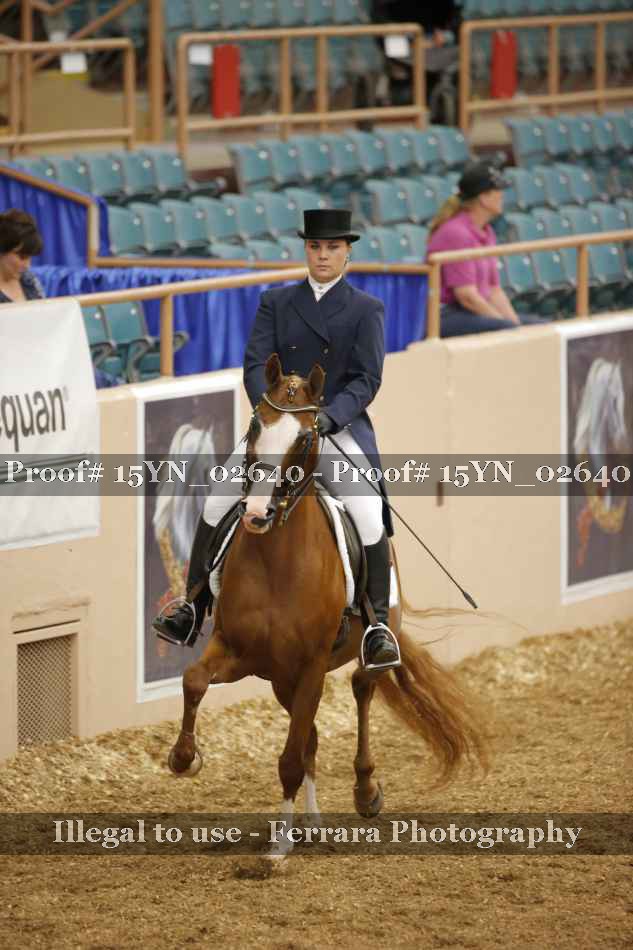 Proof 15YN_02640