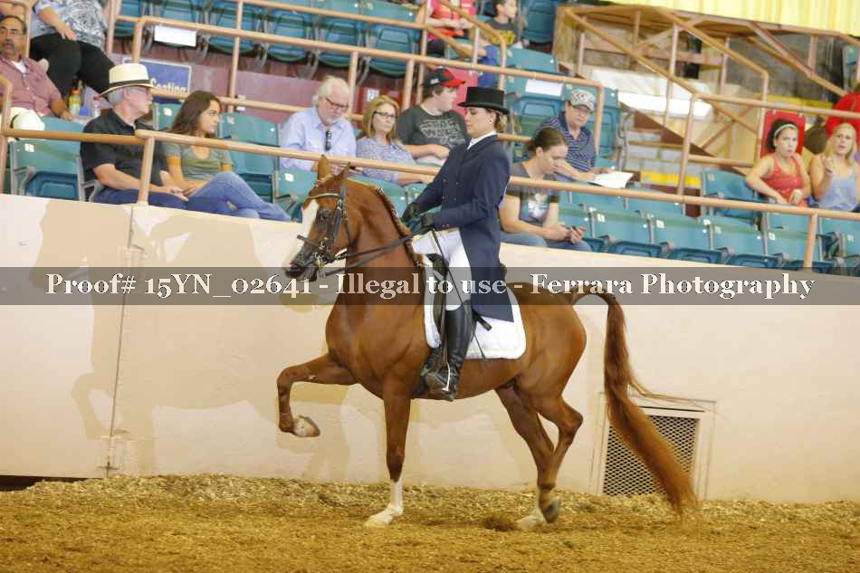 Proof 15YN_02641