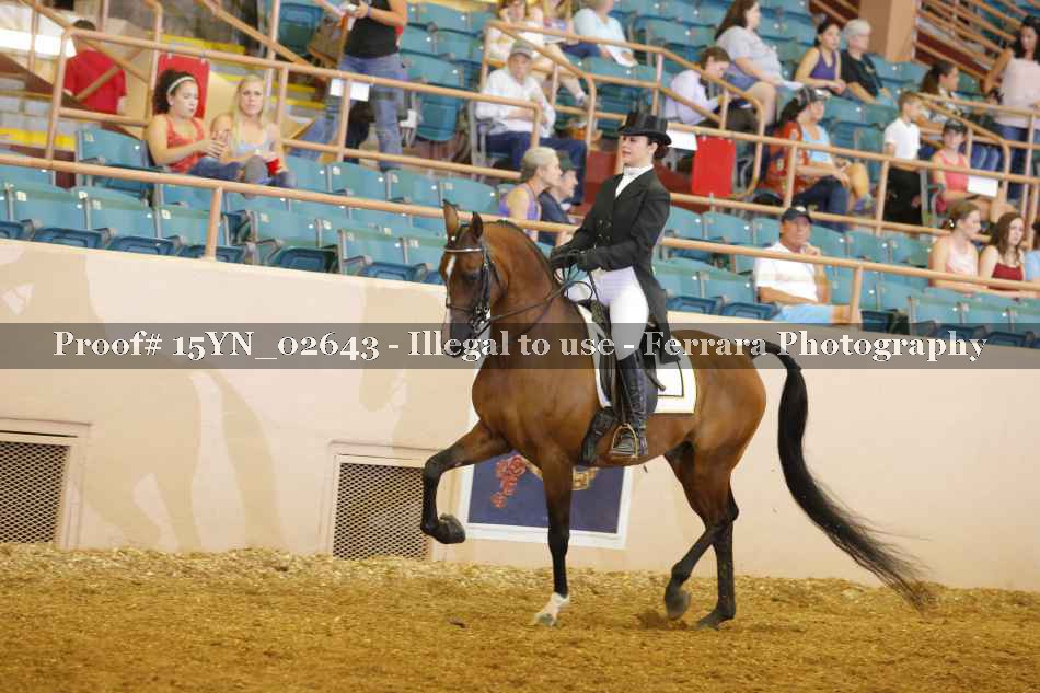 Proof 15YN_02643