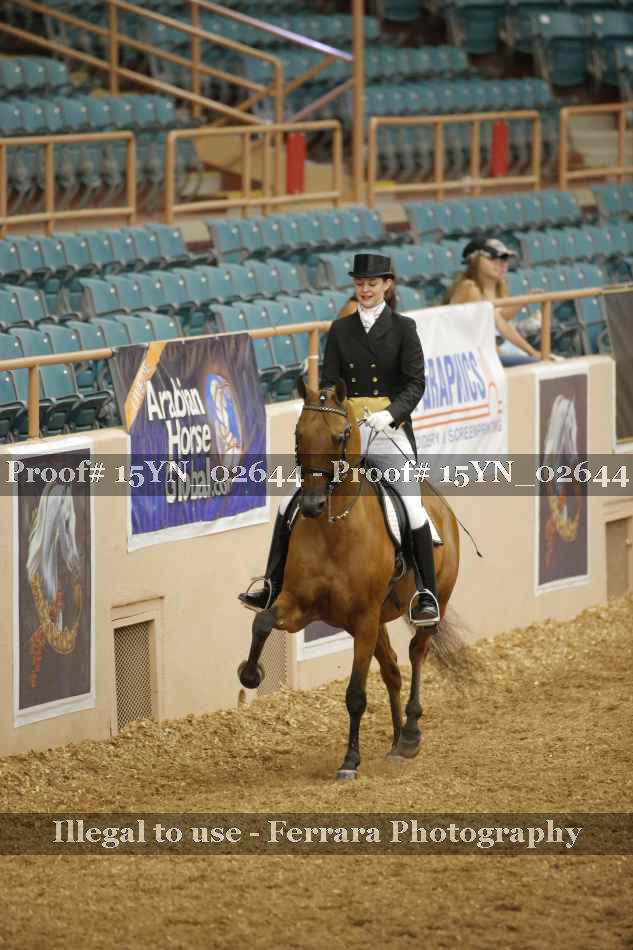Proof 15YN_02644